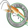 Celtic Bayou