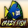Crazy Fish Restaurant