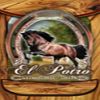El Potro Mexican Cafe in Lawrence logo