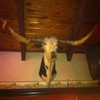 Hindquarter House