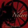 Nelore Churrascaria Authentic Brazilian Steakhouse