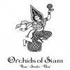 Orchids Of Siam