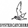 Oystercatchers