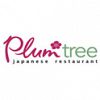 Plum Tree