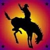 Saddle Bronc Grill