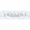 Skyline Bar & Grill