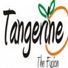Tangerine Thai Fusion