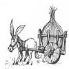 The Little Onion
