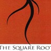 The Square Root