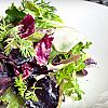 Trace Restaurant logo