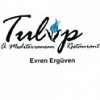 Tulip