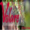 Volare Ristorante Italiano logo