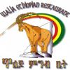 Walia Ethiopian Restaurant