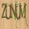 Zunum