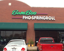 Bamboo Pho & Springroll photo