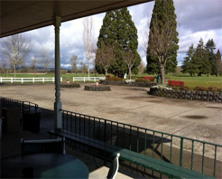 Oak Tree Inn photo