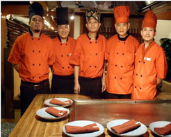 The New Shogun photo